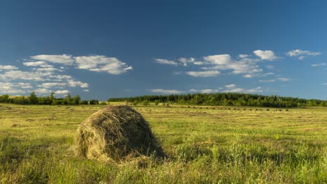 hay harvesting stack hay farmers are preparing to float on clouds field