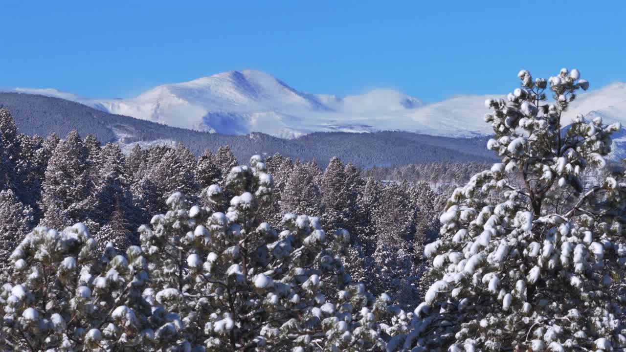 Winter morning Mt Blue Sky Mount Evans Front Range Rocky Mountains deep fresh snow sunny blue sky aerial drone Colorado Denver Evergreen Conifer prominent snow capped peak snowy forest trees circle
