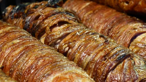 grilled turkish isik kebab