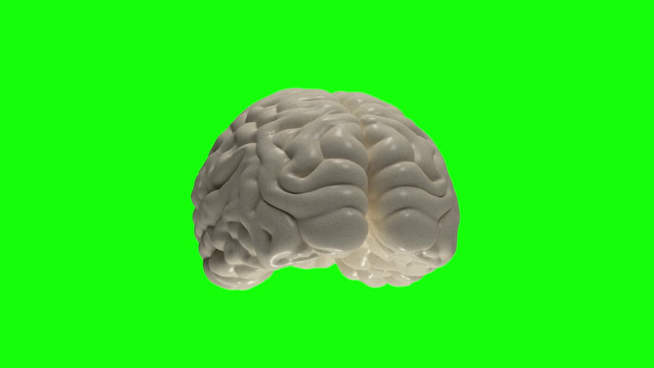 Human brain 4k. Spinning. Loopable. Blue. stock video