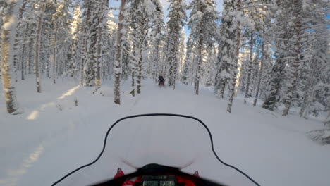 pov person driving snowmobile through snowy woodland forest, lapland, sweden