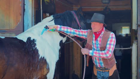 male worker adult man cares washes the horse with water from a hose