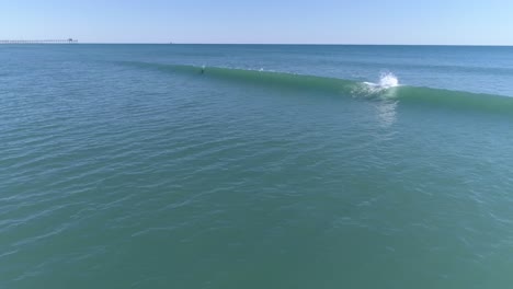 Playful-dolphins-surfing-wave-and-riding-current-near-beach,-Slow-Motion-Aerial