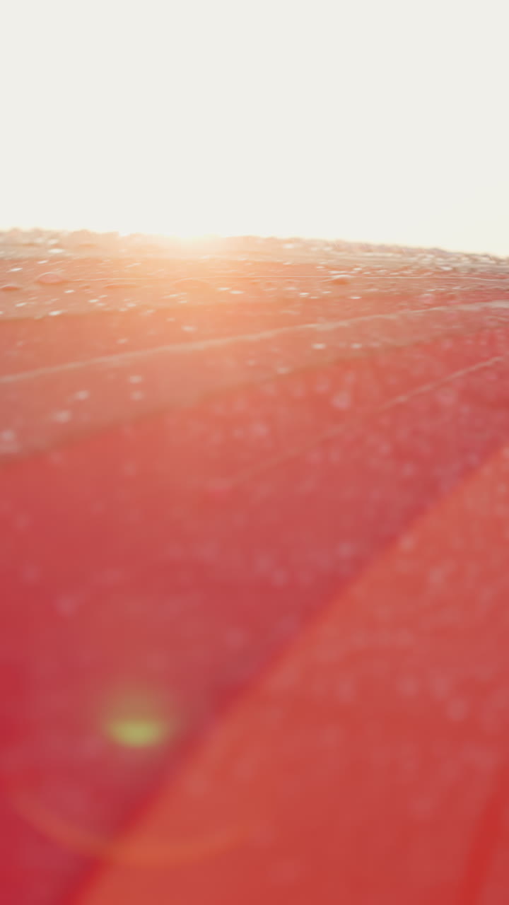 빛 샤워 클로즈업에서 무지개 우산을 회전. 세련된 다채로운 우산은 불쾌한 날 비에서 워커를 는 회전. 나쁜 날씨에 대한 밝은 액세서리