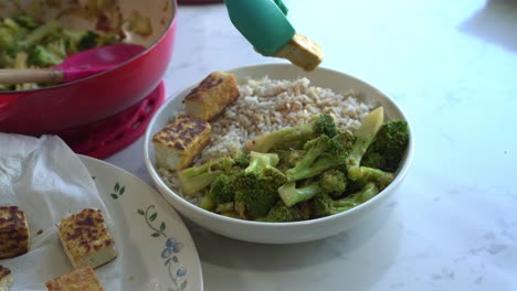 delicious tofu and broccoli with rice