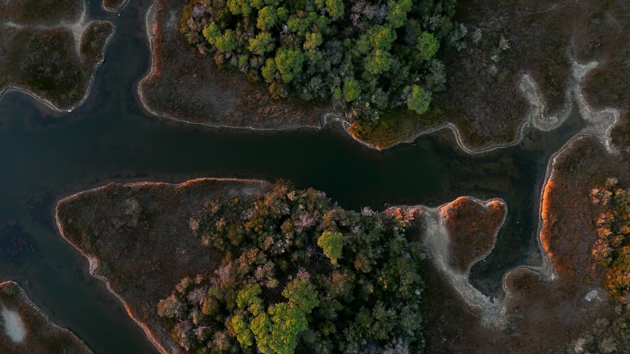 lagoa costeira, pântano, lago salgado com pinheiros ao pôr do sol