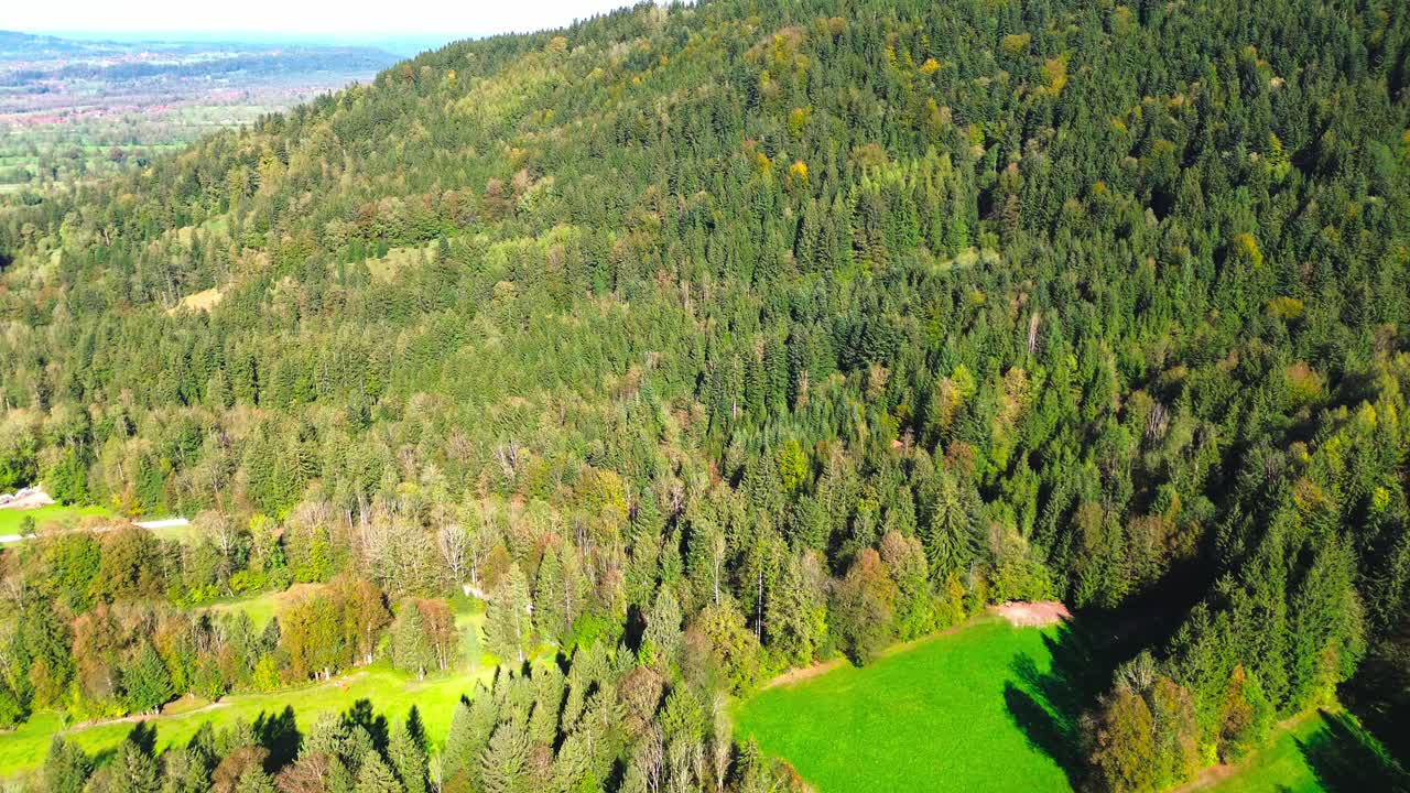 vuelo aéreo sobre un bosque verde en una ladera de la montaña, 4k