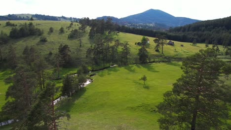 serene green mountain landscape, drone shot of creek, trees and meadows on idyllic summer day