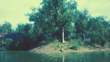 Lago-Escénico-En-El-Parque-De-Verano