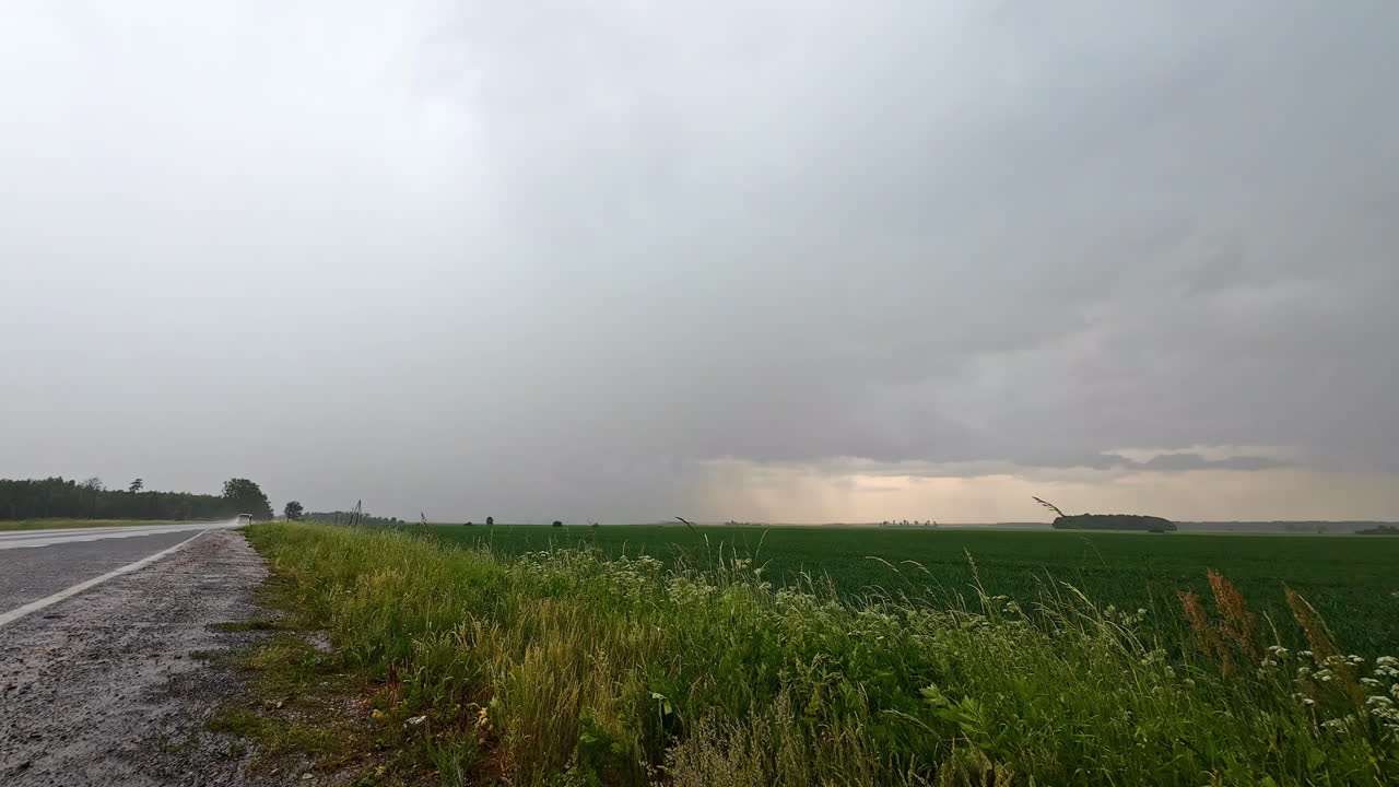 Time lapse of a street and field while raining, cloudy sky and windy, cars passing on wet street, copy space, static shot