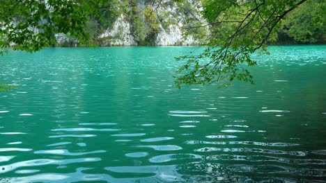 vistas a un lago de color turquesa con ramas soplando en primer plano en el parque nacional de los lagos de plitvice en croacia, europa