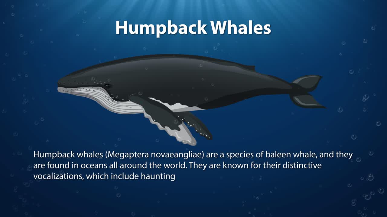 바다 깊이에서 수영하는 애니메이션 험백 고래