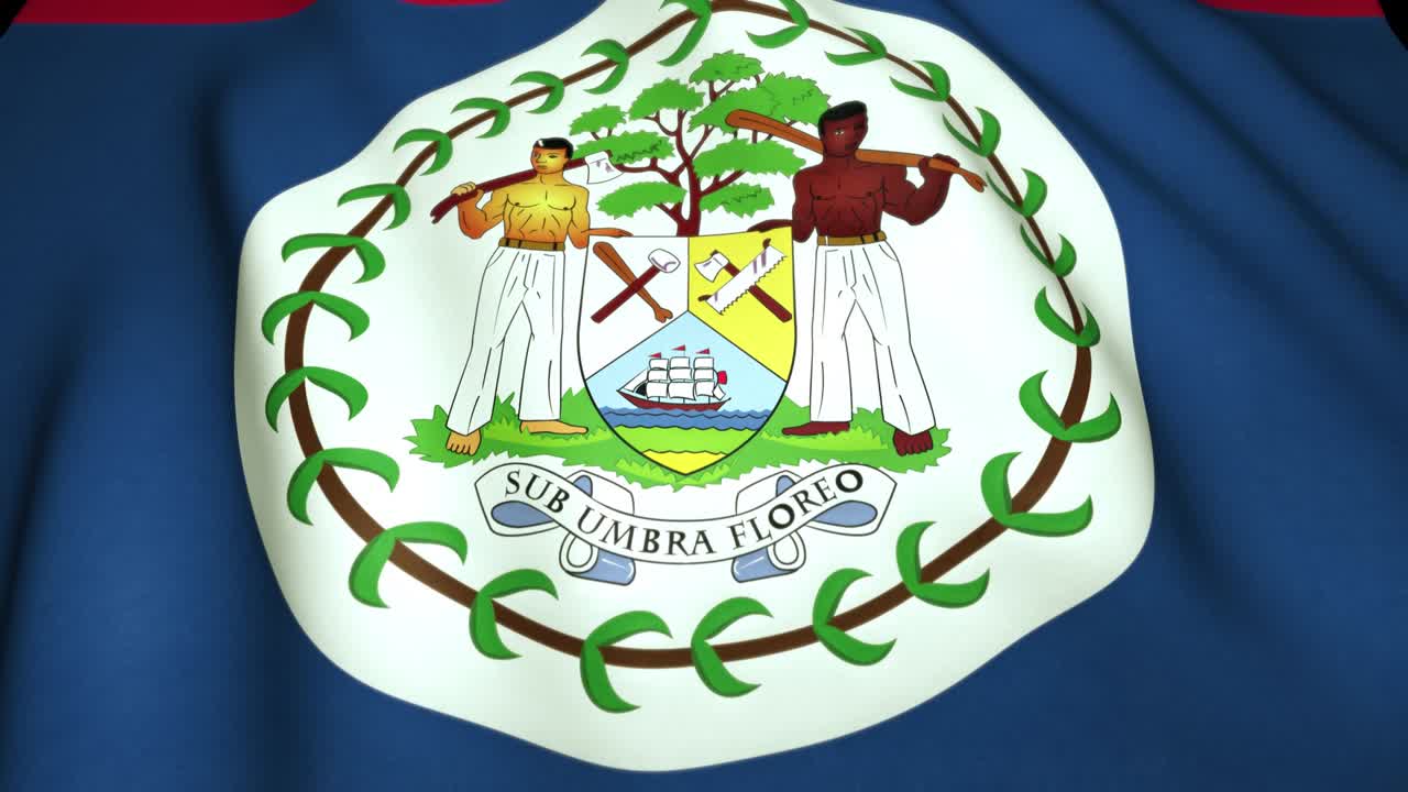 4k에서 현실적인 벨리즈 발을 흔들고, 루프 애니메이션