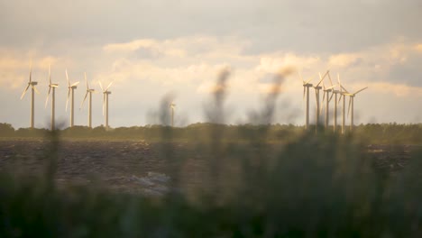 wind blowing and powering the windmills along the riverside, renewable clean and green energy, öland, sweden