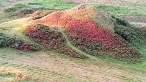 aerial fly through the vibrant hills within the fairy glen trail, isle of skye