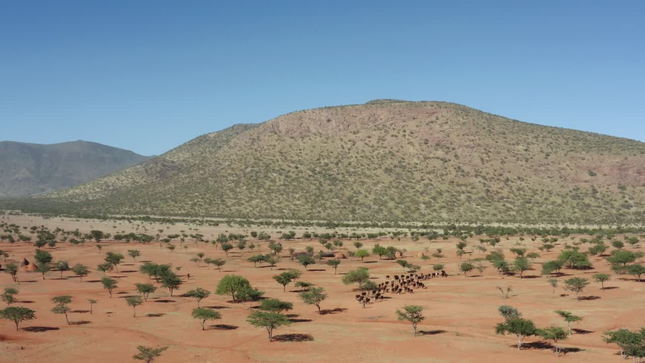 This is the arid region of Northern namibia