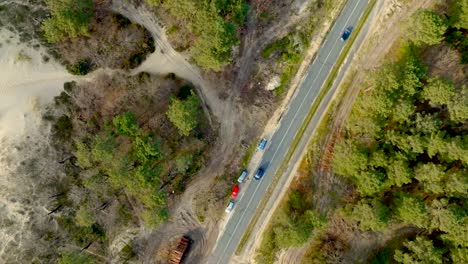 Imágenes-Verticales-De-Drones-De-Un-Camino-Forestal-De-Pinos