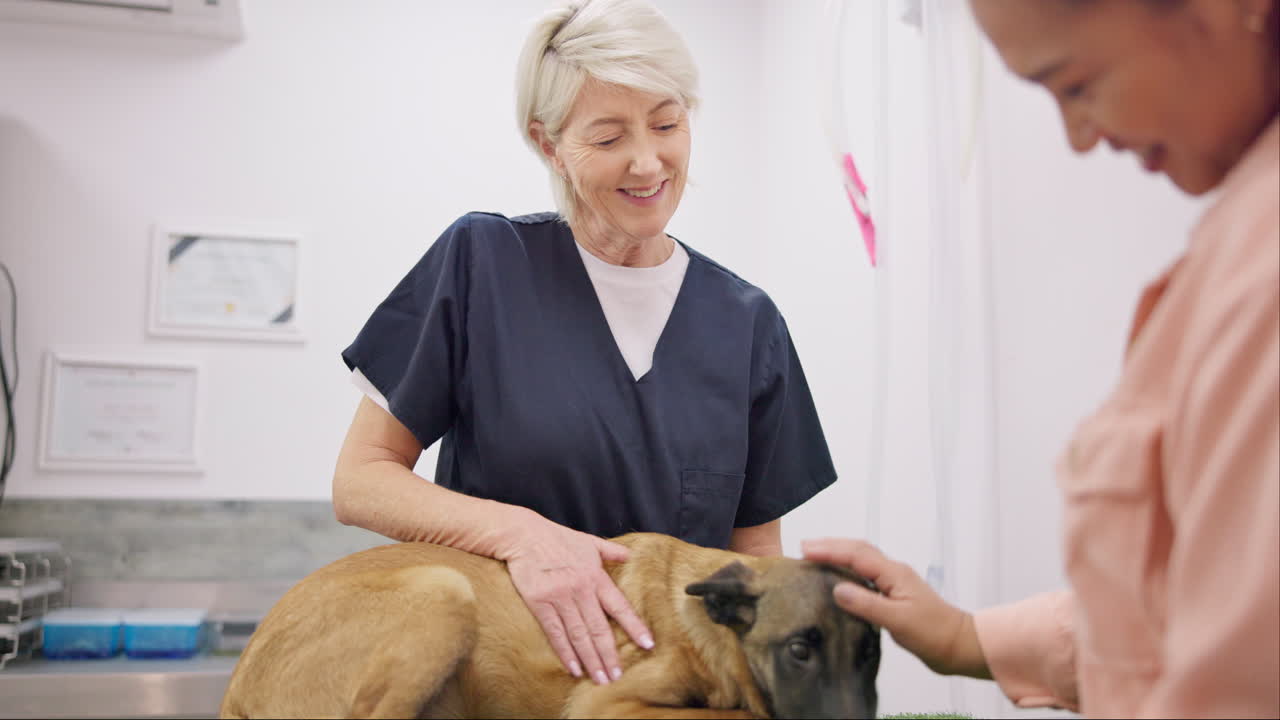 Tierarzt, Hund und fröhliche Menschen im Gespräch