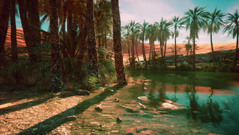 un oasis de paz en el desierto