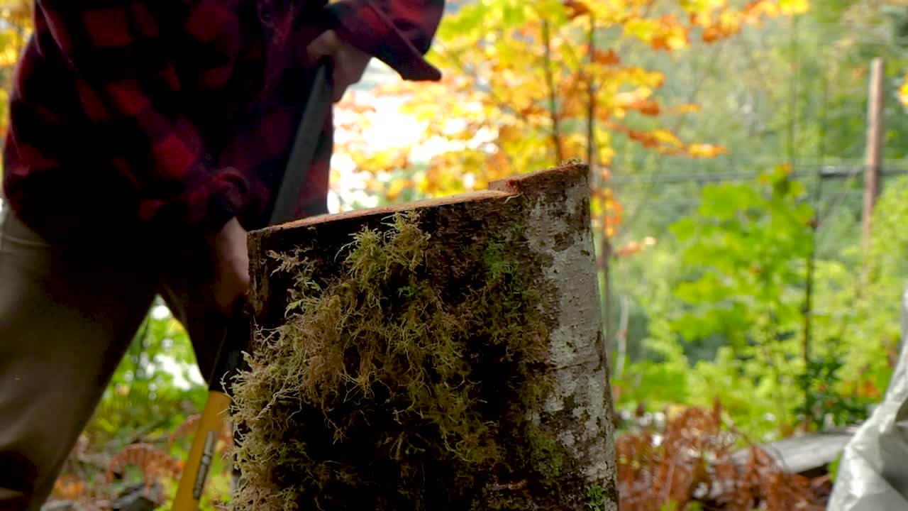 도끼로 기원전 열대 우림에서 장작을 자르는 근접 촬영