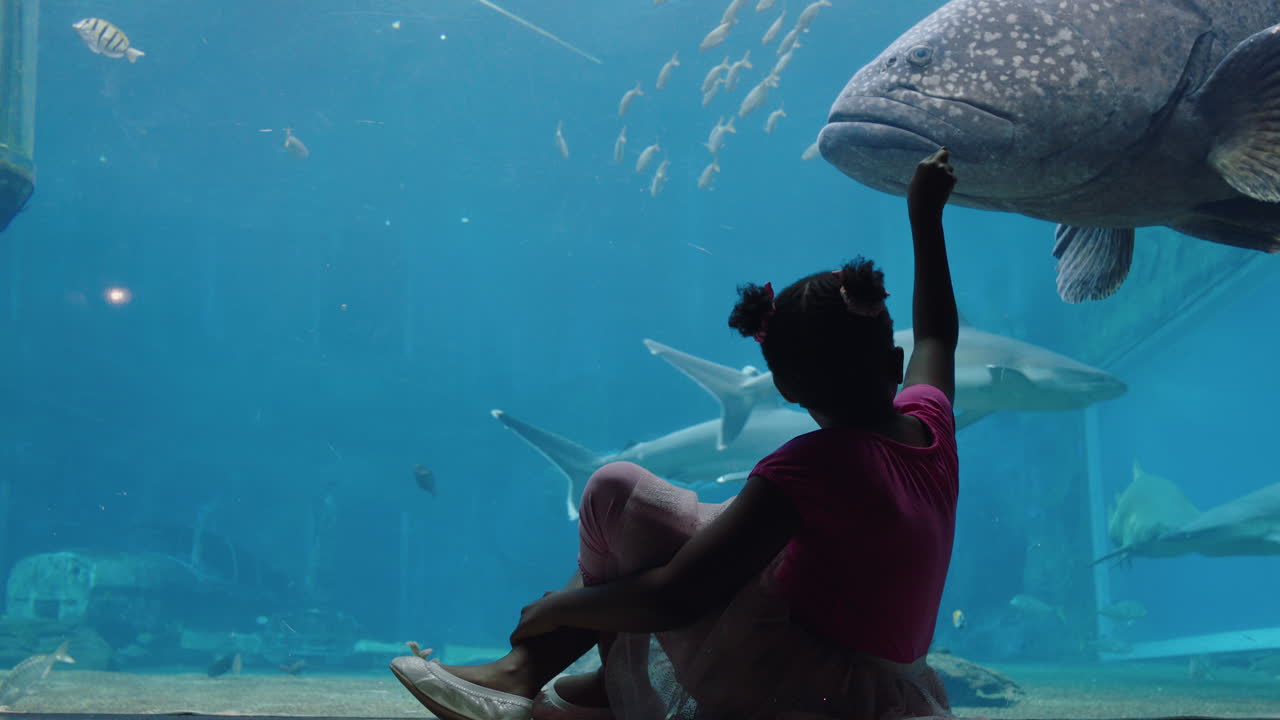 niña afroamericana en el acuario viendo peces nadando en el tanque niño curioso divirtiéndose mirando la vida marina en el hábitat acuático del oceanario
