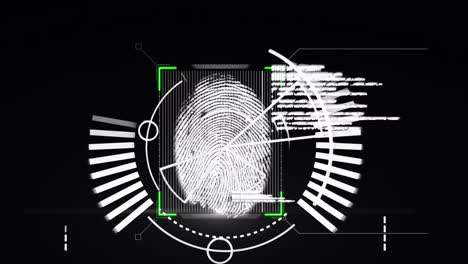 animation of biometric fingerprint, scope scanning and data processing over black background