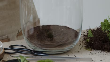 Eine-Junge-Frau-Schafft-Ein-Kleines-Ökosystem-In-Einem-Glasterrarium-–-Bereitet-Den-Boden-Für-Die-Bepflanzung-Vor-–-Naturschutzkonzept-–-Halbtotale