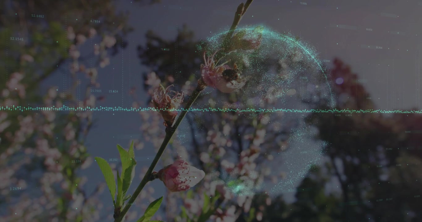 Blomstergren forbliver skarp, mens en cyan bølge starter og en turkis kugle vokser, visualiserer lydteknologi