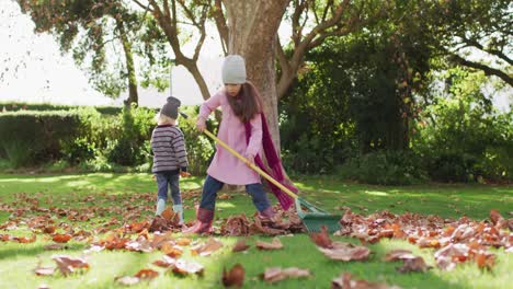 video of happy caucasian brother and sister raking up autumn leaves in sunny garden