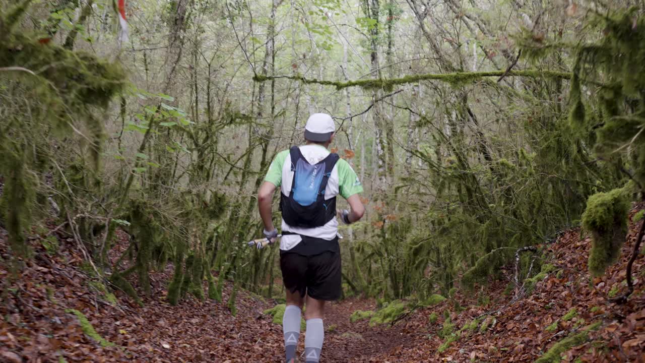 페스티벌 데스 템플리어스 경로를 달리는 운동 선수의 느린 동작 추적