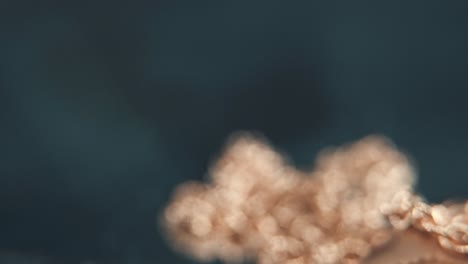 a smooth detailed macro tilt down shot of a golden medallion necklace, flying bird in the middle of the sun symbol, on a rotating stand, mirror reflection, professional studio lighting, 4k video