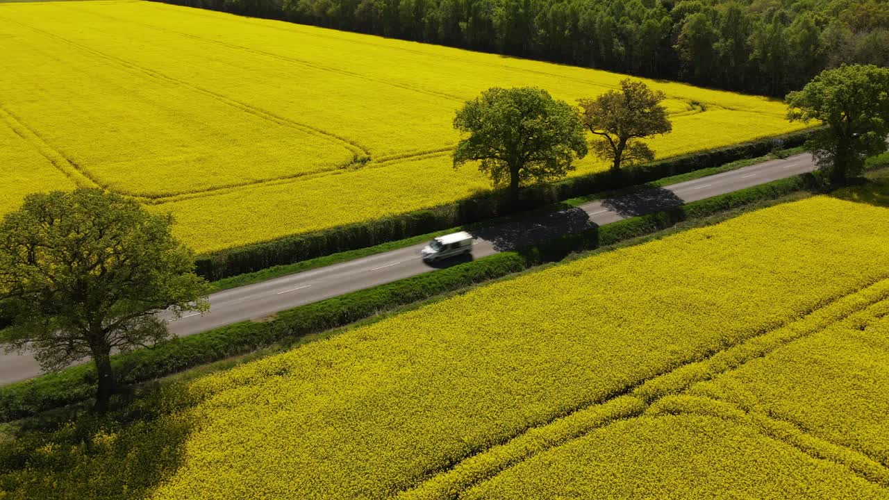 링컨셔 시골 을 바라보는 공중 영상 으로 기름 씨  ⁇  또는 기름  ⁇  작물 의  ⁇  을 볼 수 있다