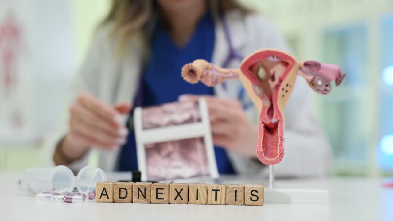 Adnexitis diagnosis and gynecological consultation with anatomical model