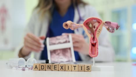 adnexitis diagnosis and gynecological consultation with anatomical model