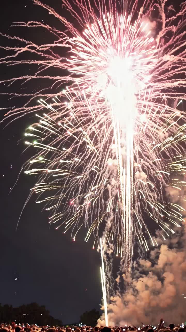 Fogos de artifício coloridos explodindo no céu noturno escuro com uma multidão