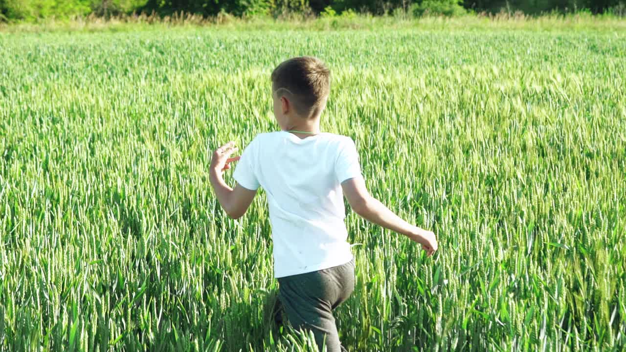 little boy is running through a wheat field
