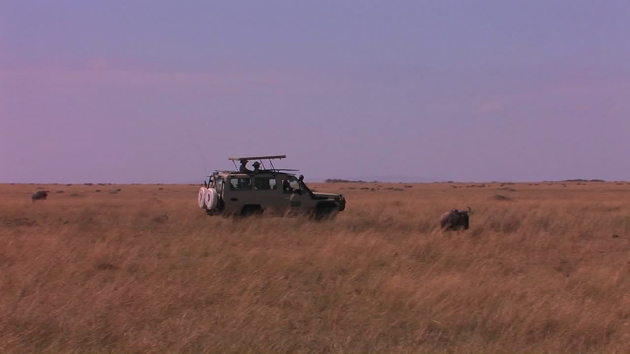 Off road vehicle driving in african savanna