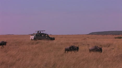 Conducción-De-Vehículos-Todoterreno-En-La-Sabana-Africana