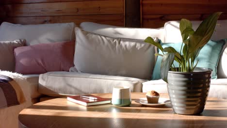 interior of log cabin with sofa, coffee table and plant, in slow motion