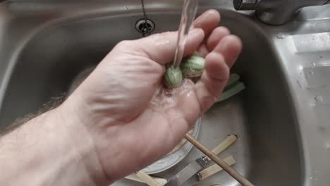 Male-hands-washing-homegrown-miniature-cucamelon-exotic-unusual-vegetable-in-kitchen