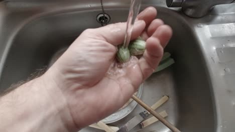 male hands washing homegrown miniature cucamelon exotic unusual vegetable in kitchen
