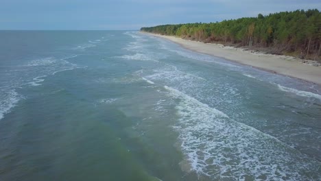 Beautiful-aerial-establishing-view-of-Baltic-sea-coast-on-a-sunny-evening,-sunset,-golden-hour,-beach-with-white-sand,-coastal-erosion,-climate-changes,-wide-angle-drone-shot-moving-forward