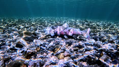 Underwater-Video-of-weakened-trout-underwater-video