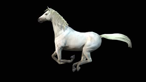 A-white-Arabian-horse-gallop-on-black-background,-3D-animation,-animated-animals,-seamless-loop-animation