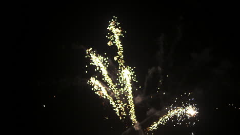 fuegos artificiales al comienzo del nuevo año en la noche negra 5