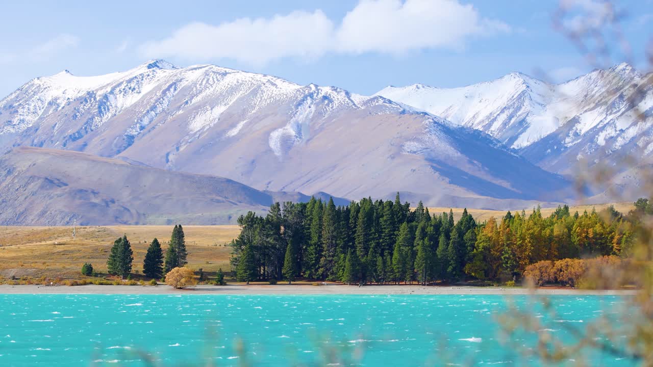 Wide shot of Lake Tekapo’s turquoise water, pine trees, and snow-capped mountains in daylight. Subtle foreground blur suggests gentle camera movement or wind
