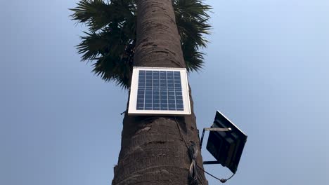 tree with solar panel