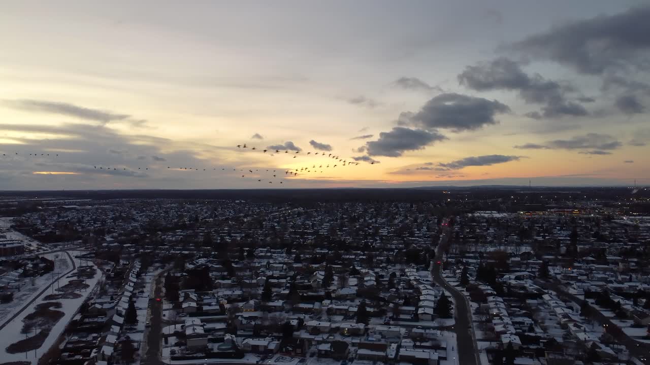 Birds flying over the cityscape of Candiac, Quebec with an amazing snowy sunset