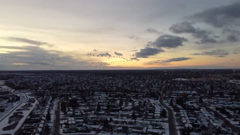 birds flying over the cityscape of candiac, quebec with an amazing snowy sunset