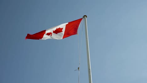 canadian flag waving in the wind on a sunny day - slow motion